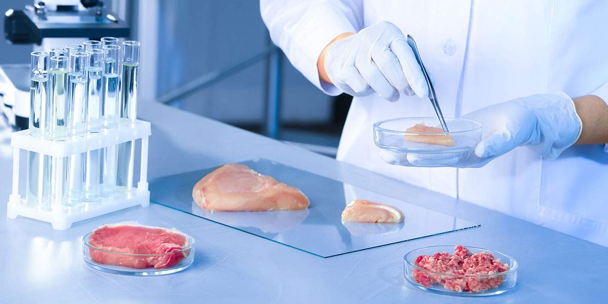 脉冲强光杀菌技术行业研究报告——食品及包装材料应用领域