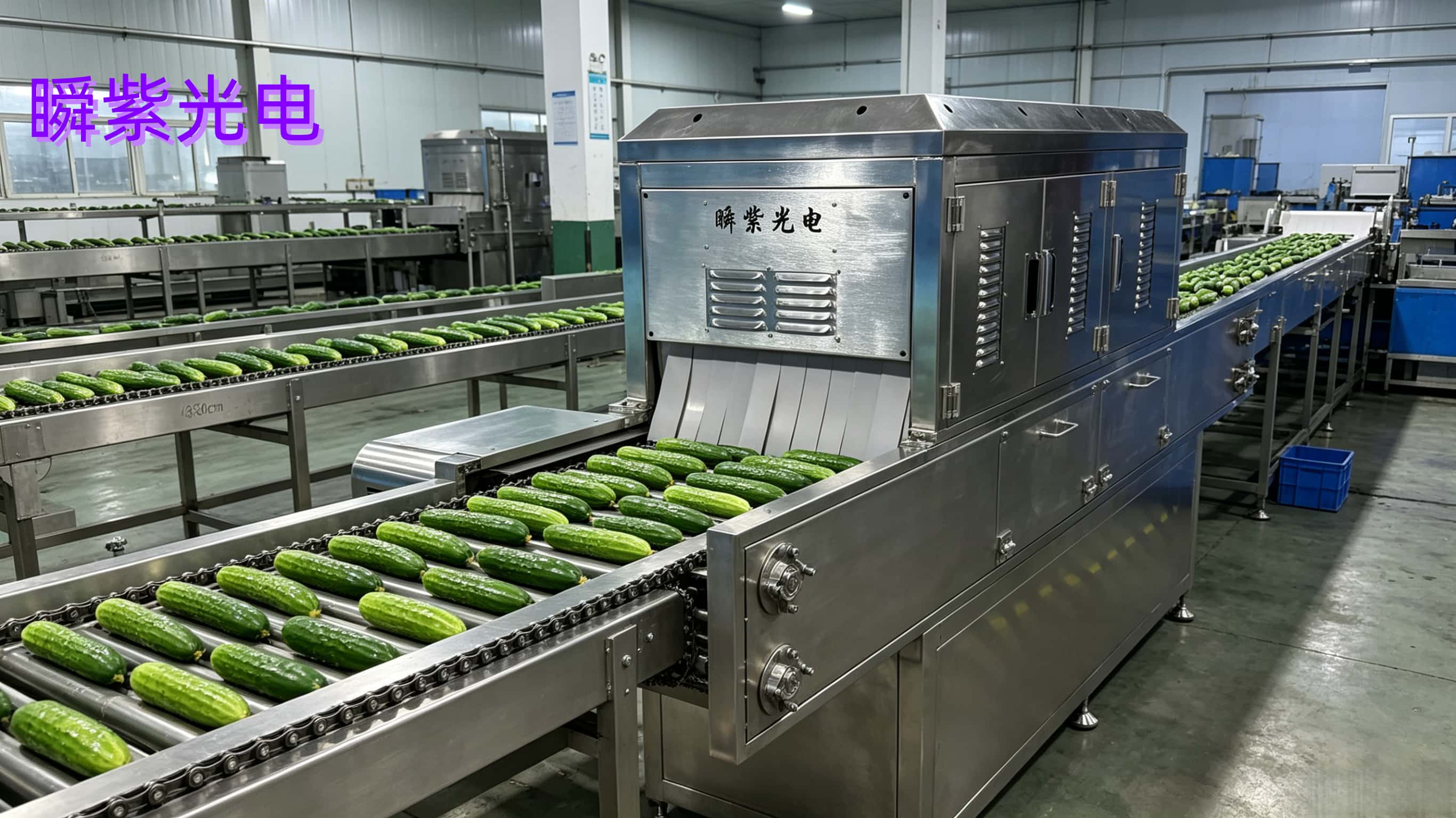 脉冲光冷杀菌技术在黄瓜保鲜抑菌领域的应用研究与实践探索