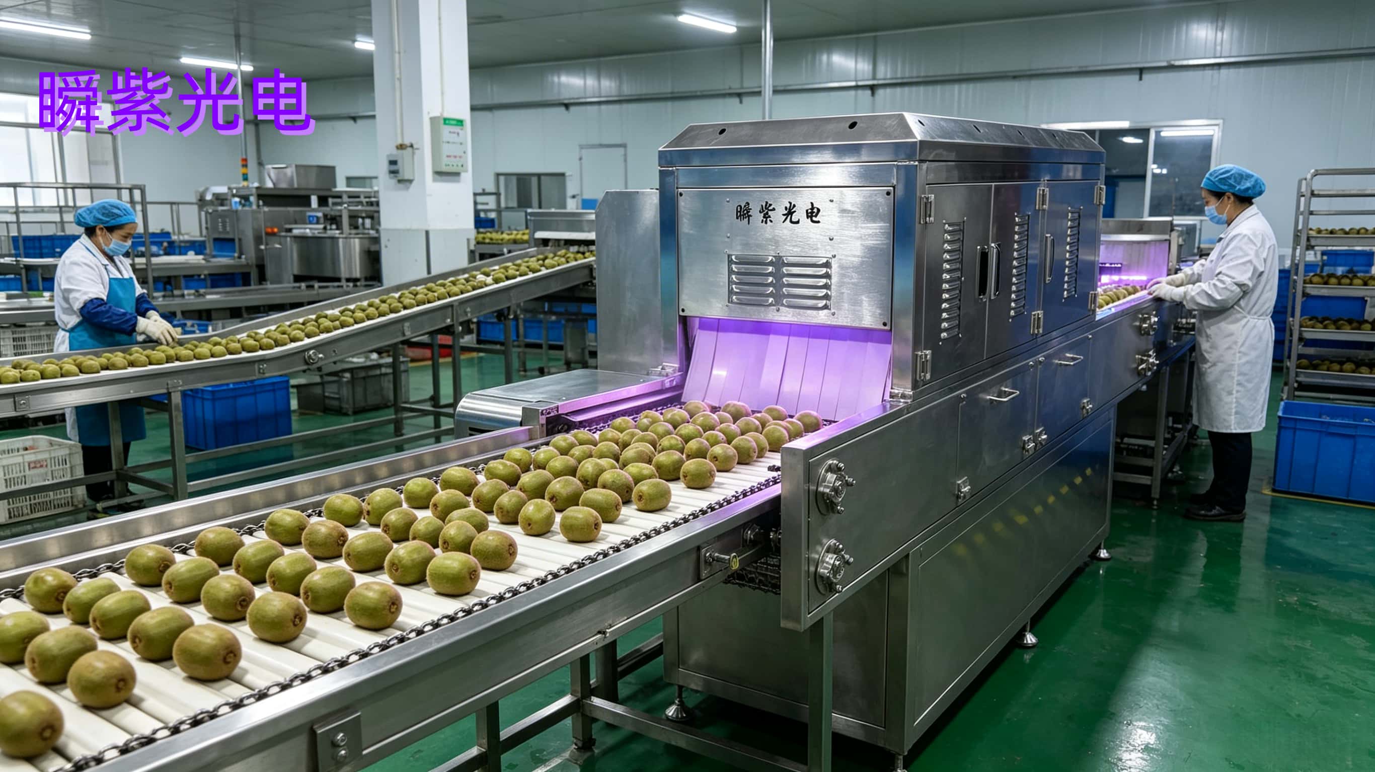 脉冲光冷杀菌技术：原理、应用与猕猴桃保鲜的革新路径