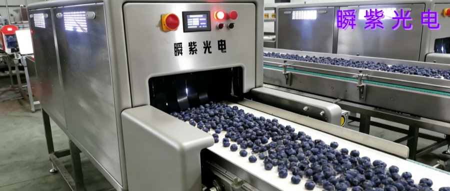 蓝莓__副本.jpg